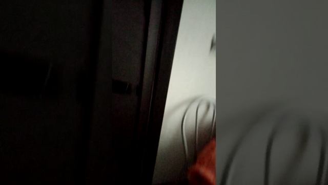 VID_20250511_115315.mp4