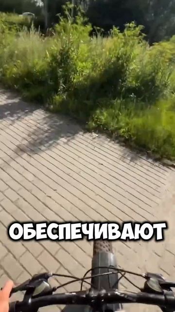 А КАКИЕ ПОКРЫШКИ КУПИТЬ???