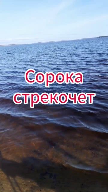 Я опять на берегу озера