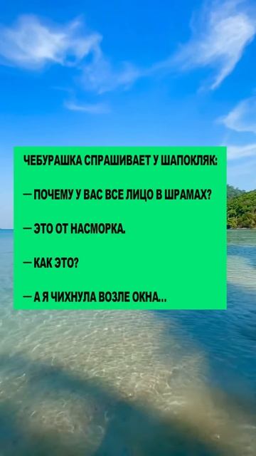 Чебурашка #анекдоты #шутки #приколы #радость #юмор #смех