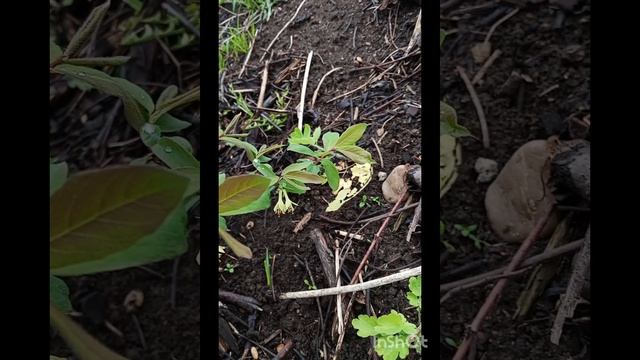 1000004566.mp4
