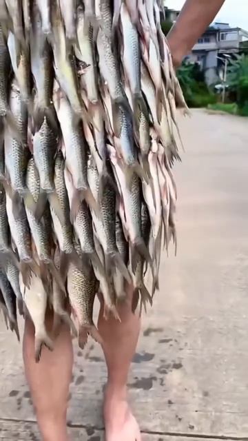 @video_smeshnye.mp4