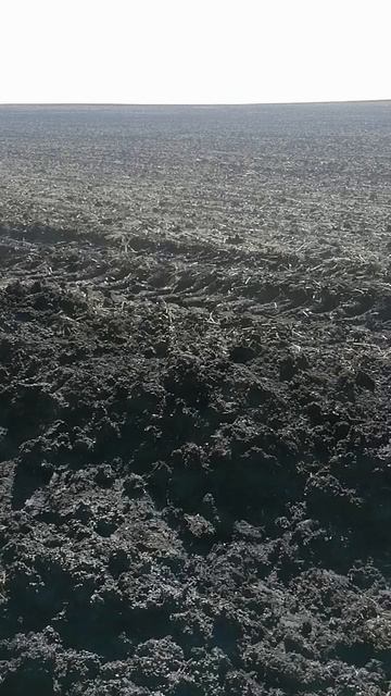 Чуть не утопил сеялку, Ростсельмаш и Амазон