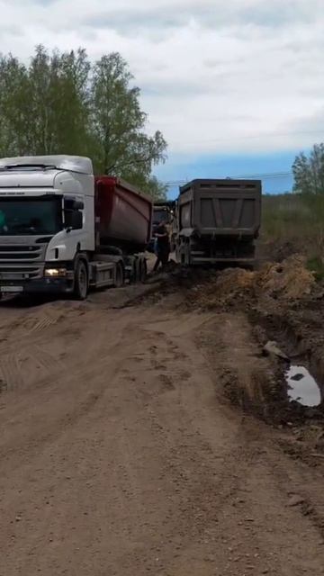 засадили Тонар