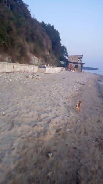 b25eb569-1912-4771-adb7-cfeedfbccb97-1_all_1123.mp4