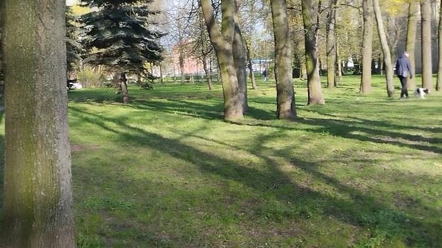 Сад девятого января СПб.