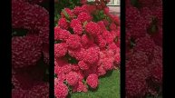ef3dd8fd-1add-48d8-8f3e-e9b990029c8d.mp4