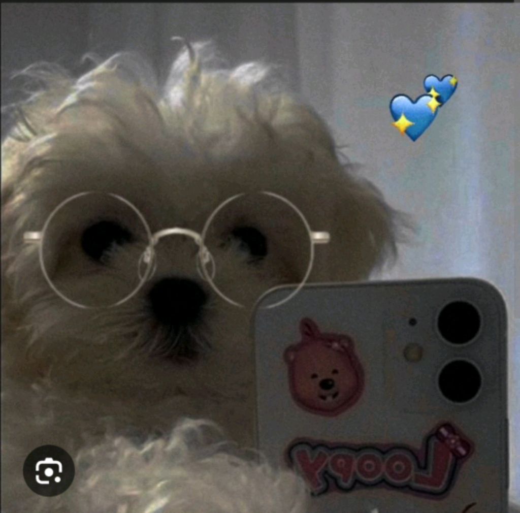 открываю пакеты