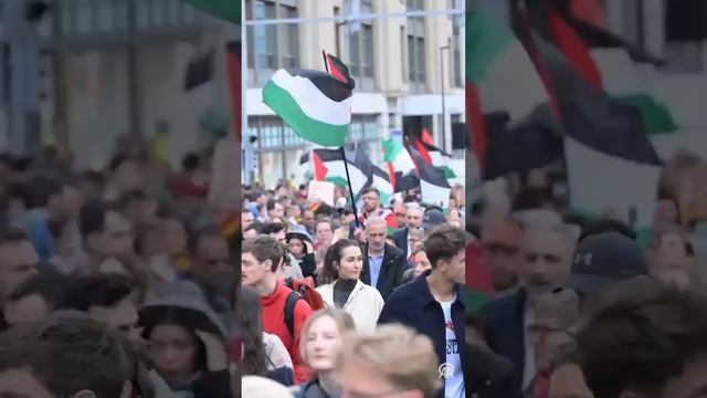 В Бельгии прошли акции протеста против израильских ат