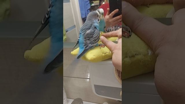 кеша довольный !