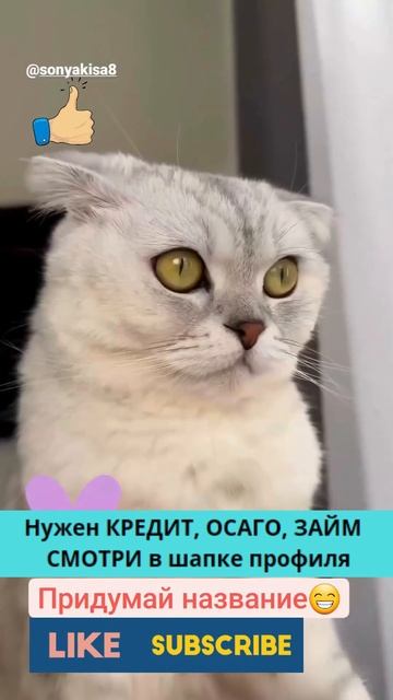 🔥Нужен КРЕДИТ, ОСАГО, ЗАЙМ  –  СМОТРИ в шапке профиля #