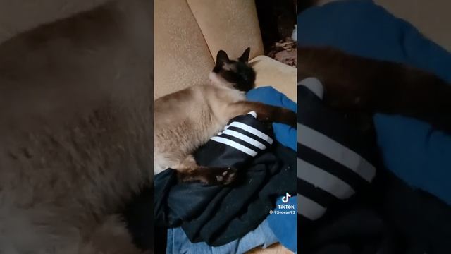 Жаркое с куриными сердечками в казане 🔥