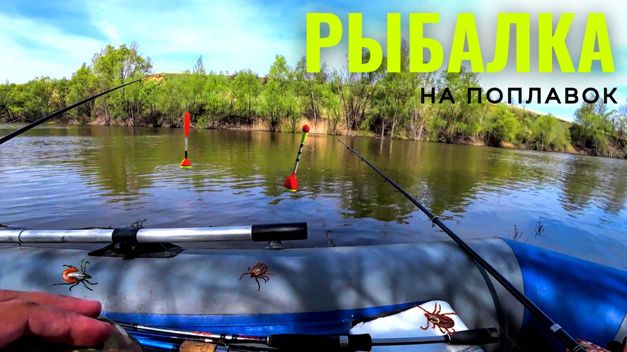КЛЕЩЕЙ ПРОСТО ЖУТЬ! РЫБАЛКА НА ПОПЛАВОК В МАЕ