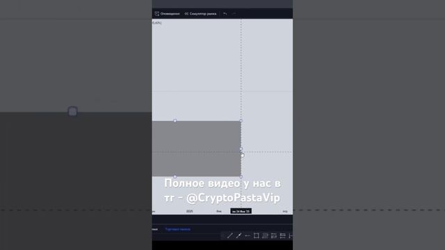 13 ноября 2024 г.