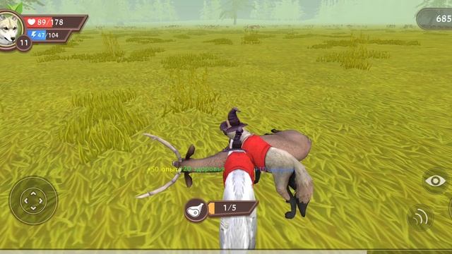 vidma_recorder_11052025_094150.mp4