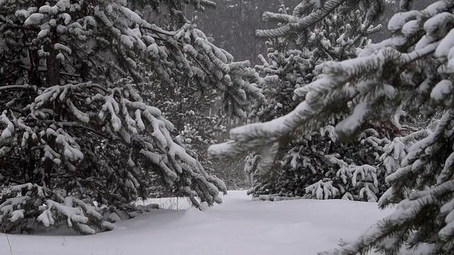 Снежное царство 6