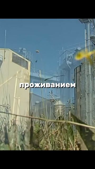 Ищем работников на заводы в РФ #вакансии #работа #вакан