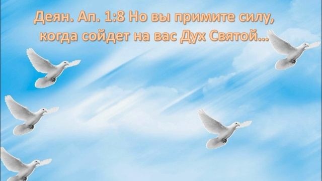 29.04.2025г. Аудиозапись прямого эфира "СЕРДЕЧНАЯ МОЛИТВА" провела Галина Николаевна