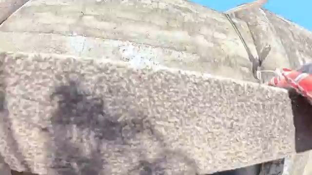 Отряд Человеков Пауков против джокера