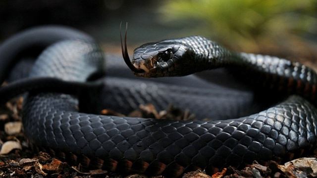 Финансовый рост#рекомендацииютуба#финансыуспех#фина?