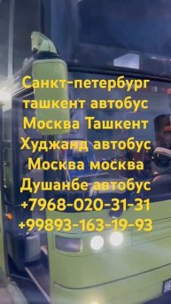 #санктпетербургташкентавтобус#масква #ташкент#такси #