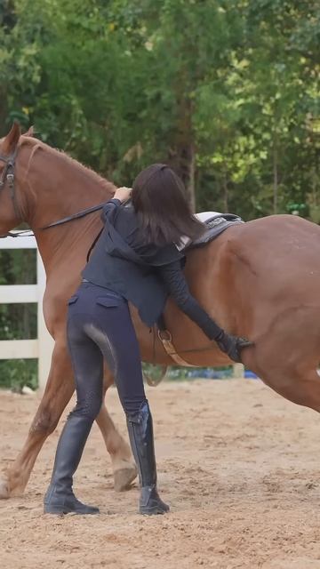Clever 😘❤️#haris #horseriding #horsevideo #horseride #horserider #horses #horse #funny #funnyvideo