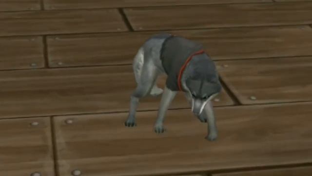 WildCraft НУБИК и БУДИЛЬНИК ⏰ 🐺