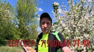 Я выжил на МРОТ в 2025 году часть2. Минимальная оплата тр?