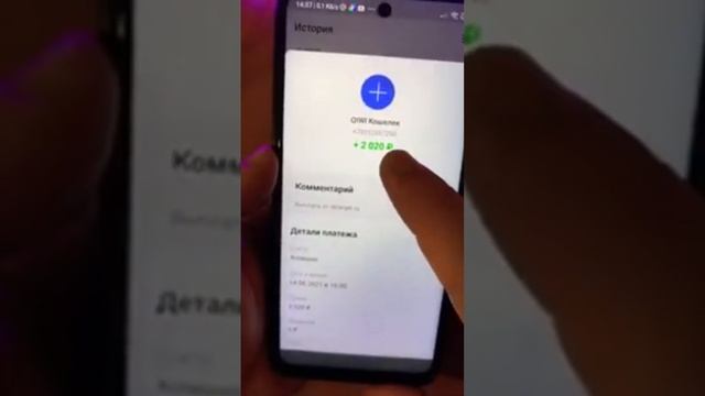 деньги на киви бесплатно  заработать школьнику без вл?