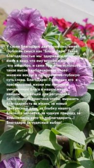 Радость#изобилие#отношения#осознанность#радостьжизн?