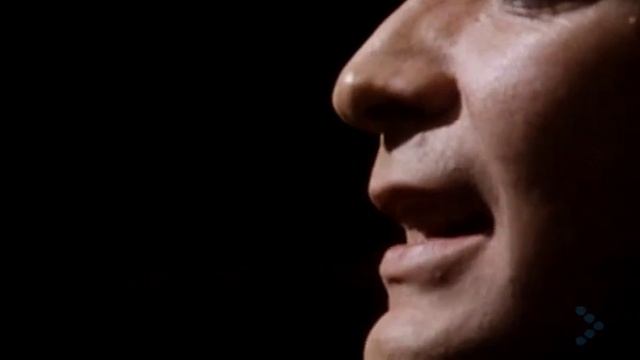 Chris Rea - Josephine (1985)
