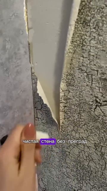 ЧЕМ ЗАНЯТь КОТА? 🦭😅 #котантоха котантон