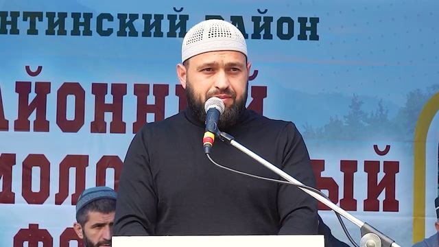 Размышления – удел разумных