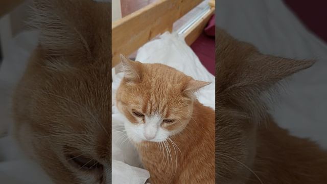 На улице дождь.