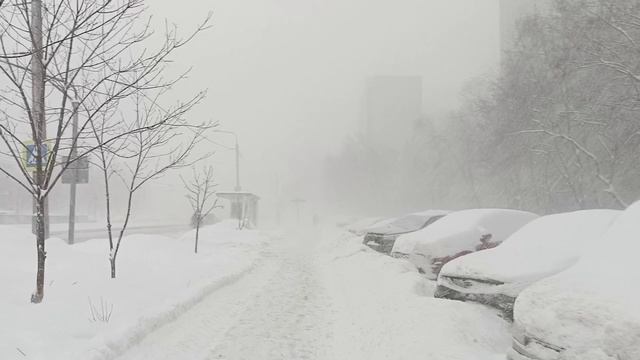 Снежная зима 23-24