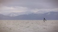 Вингфойл и кайт на Камчатке. Наши дни.