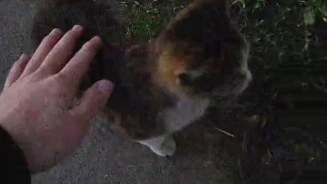 VID-20250504-WA0000