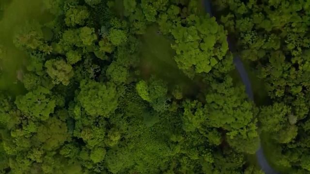 Оказалось муж взял кредит: его маман захотела в кругос