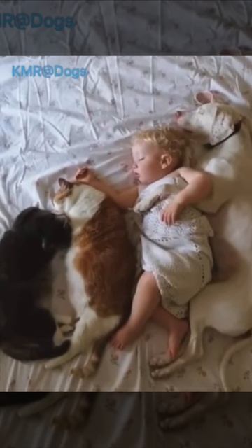 Детка спит, она устала, всех животных измотала👶😴😂 ( видео про кошек и собак )