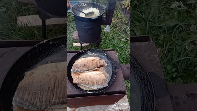 Караси в сметане в казане 🔥 🐟