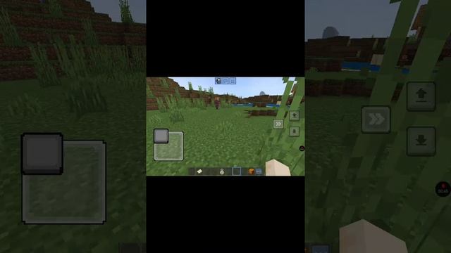1000002028.mp4