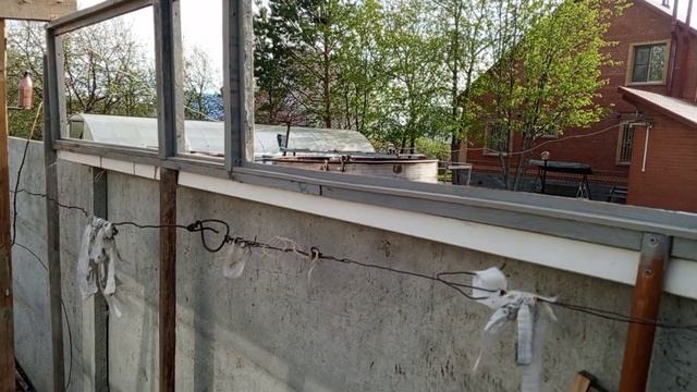 Теплица из того, что нашлось в мастерской и на Вайлдберриз