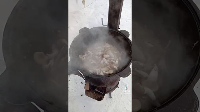Кролик с грибами в сливочном соусе Казан 🐰 🍄 🔥