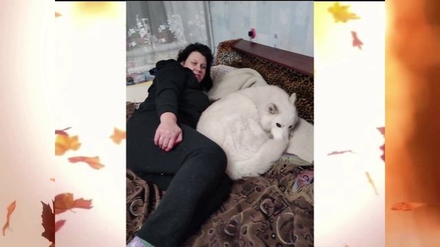 Тебя со мною нет......