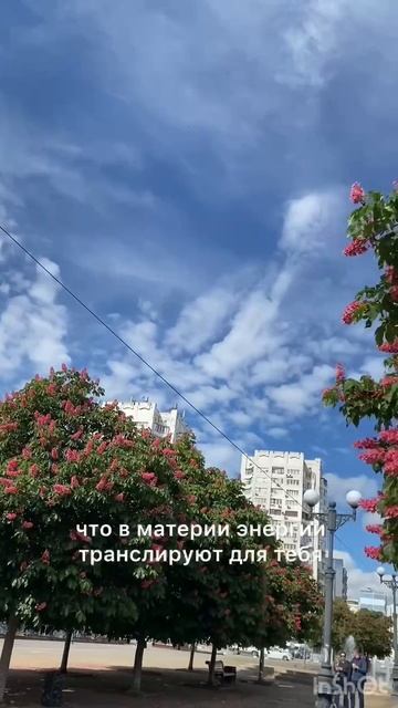 Доверие и принятие - сила Вам данная - там!🙌