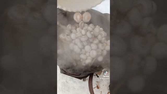 Кролик Рождественский в казане 🐰