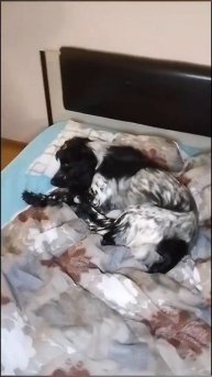 Стоит ночью отлучиться в туалет, как твоё место уже за?