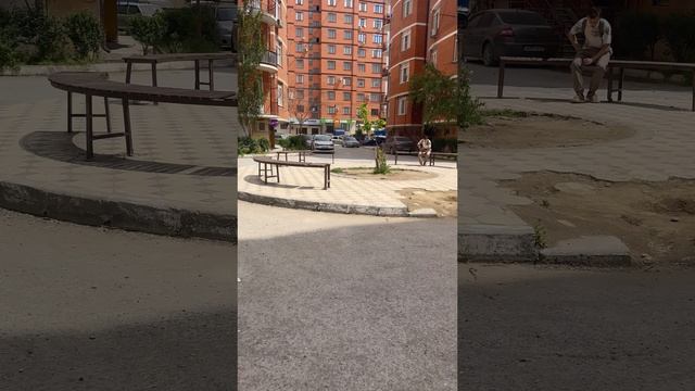 Махачкала Дагестан