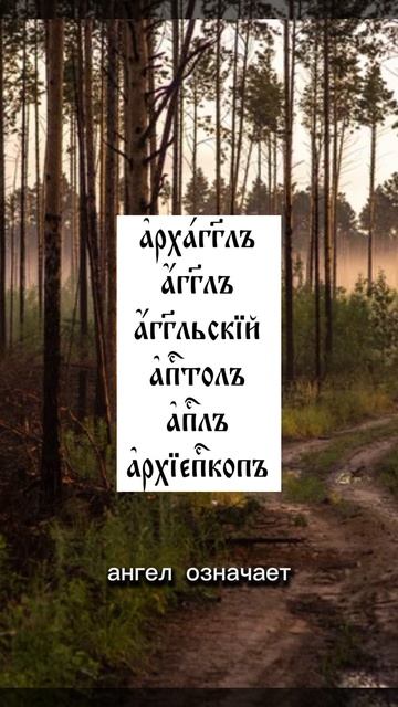 #обучение#перевод