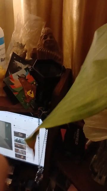 Замена светоидиодной лампы е 14